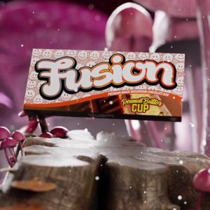 Fusion bar Peanut Butter Cup